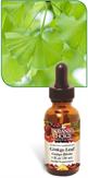 Gingko Biloba Liquid Extract Promotes short term memory and brain function